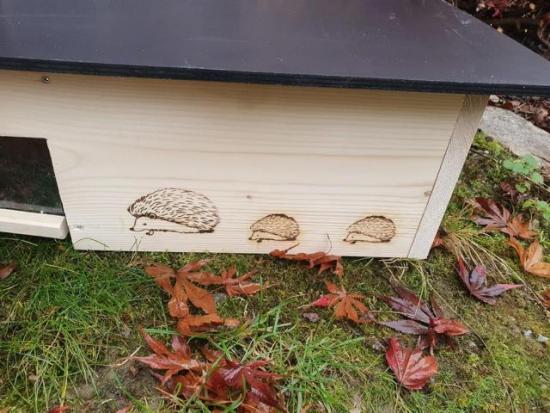 Preview: Woid Herz Hedgehog House Hedgehog Hotel (IG12) – varnished pine