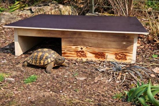Woidherz XXL burnt wood tortoise house for outdoor garden enclosure