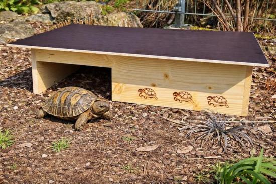 Woidherz XXL burnt wood tortoise house for outdoor garden enclosure