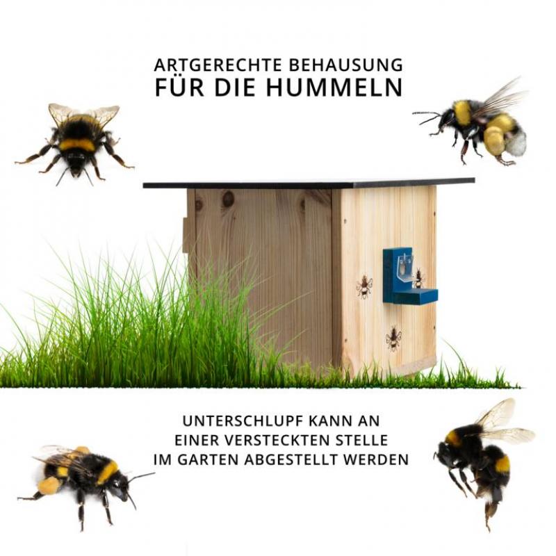 Woid Herz Hummelhaus (H4) 2 mal mit Leinöl imprägniert