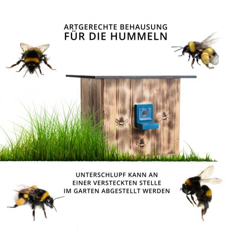 Woid Herz Hummelhaus (H3) gebrannt