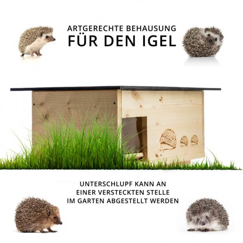 Woid Herz XXXL Hedgehog House (IG1) – Double Varnished