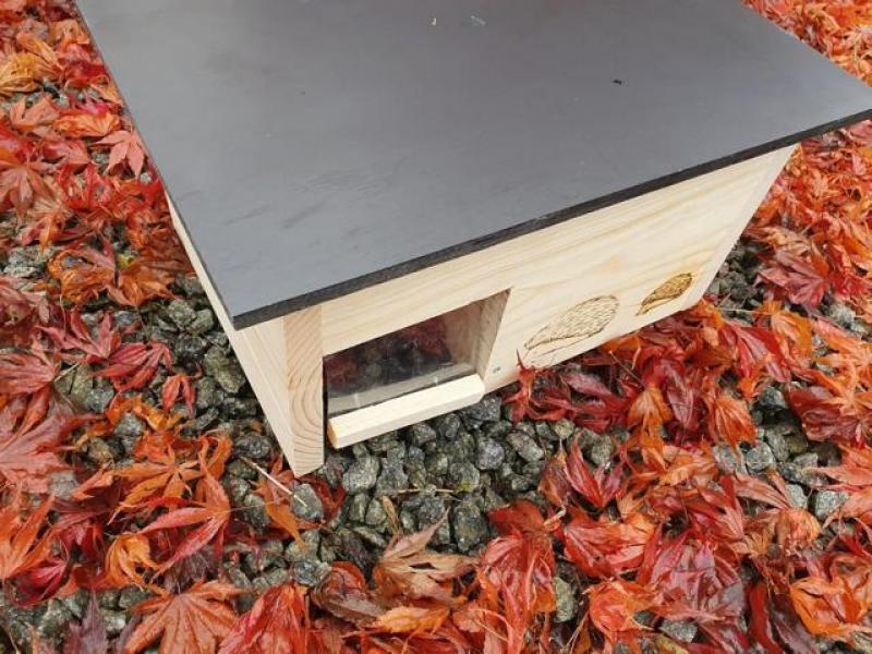 Woid Herz Hedgehog House Hedgehog Hotel (IG10) – varnished pine