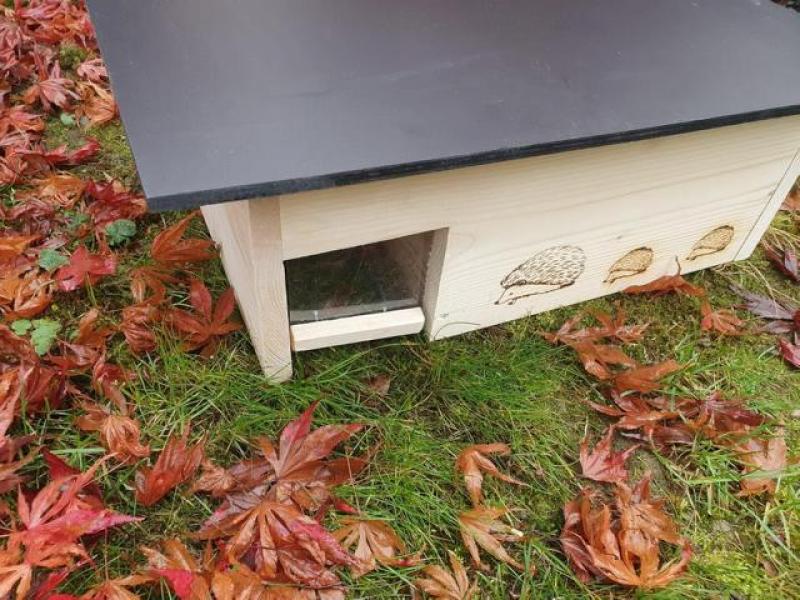 Woid Herz Hedgehog House Hedgehog Hotel (IG12) – varnished pine
