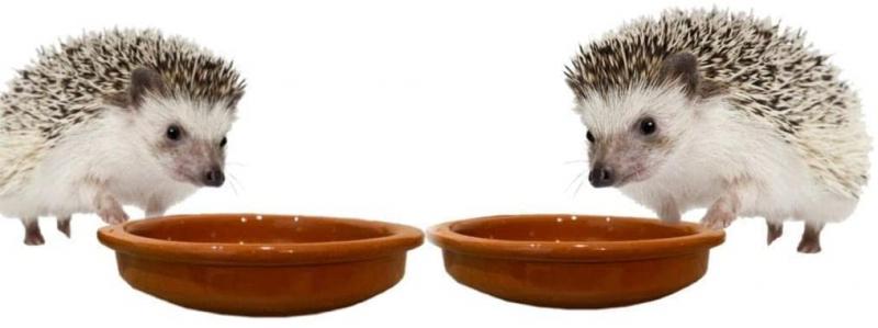 Woid Herz Futterspender für Igelhaus 2er Set Igel Futterschale Igelfutterschüssel