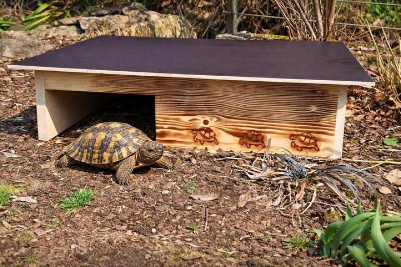Woidherz XXL burnt wood tortoise house for outdoor garden enclosure